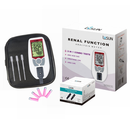 What Are Renal Function Tests